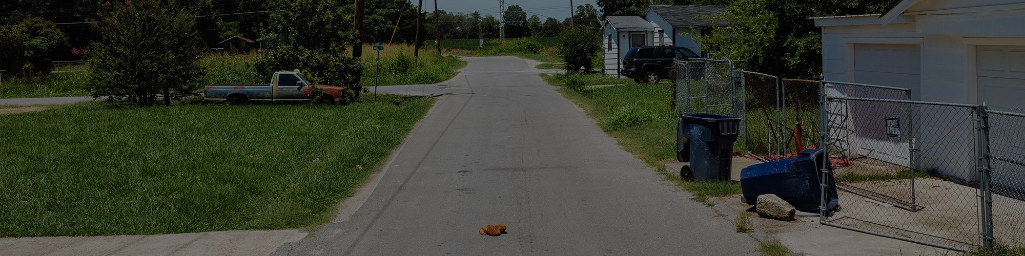 Environmental Justice