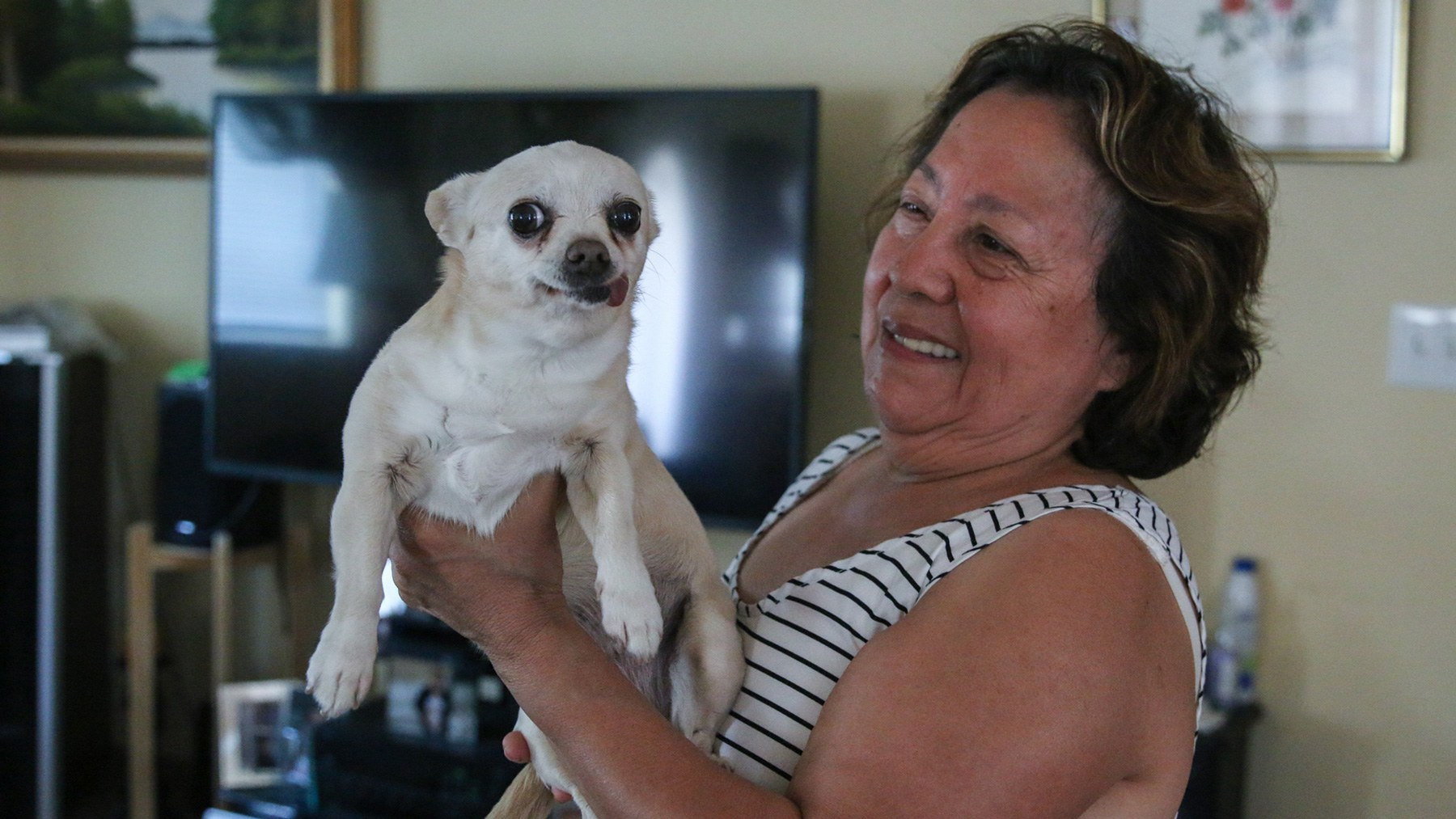 Rosa Rubio, her husband and their four dogs drink bottled water provided by the state of California because of high levels of nitrate and coliform bacteria in their water system. (Jackie Wang/News21)