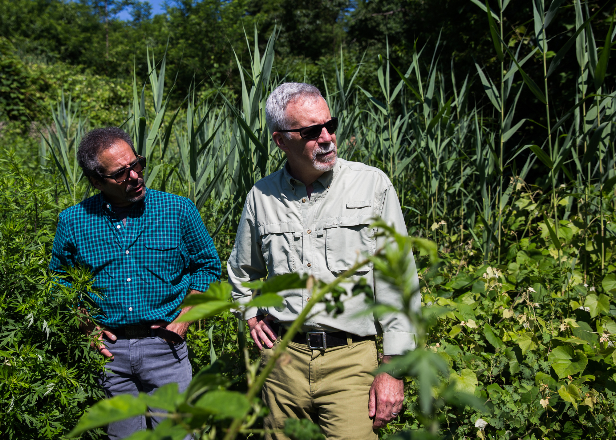 Environmentalists worry landfill contamination could affect water for ...