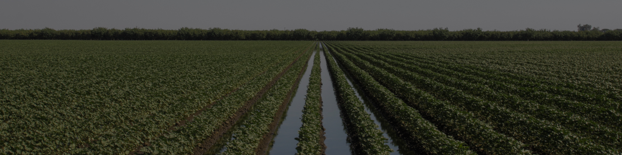 Farming Waste