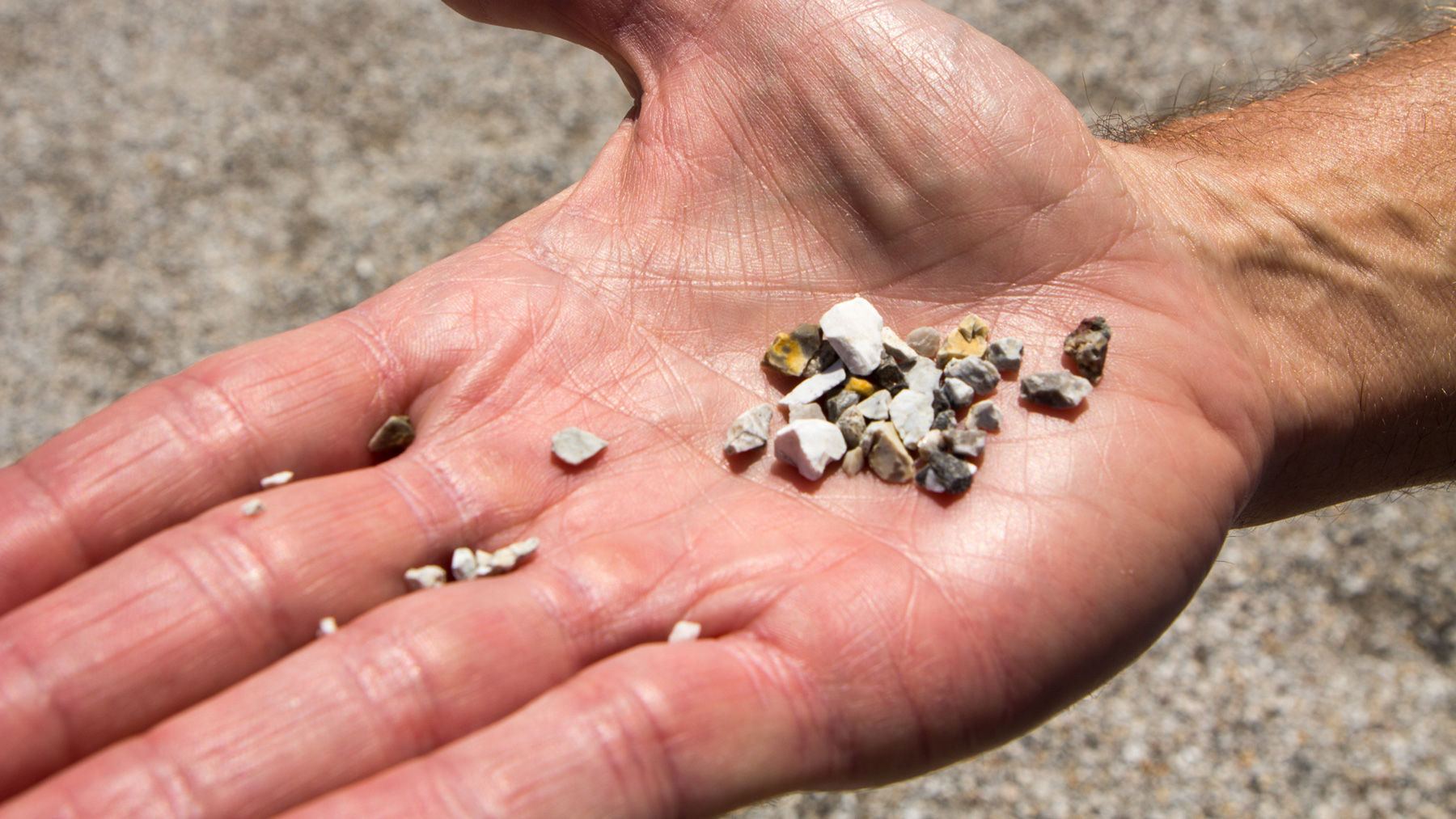 Quapaw tribe Environmental Director Tim Kent holds some of the mining waste that litters the Picher, Okla., area. It contains lead and other heavy metals. (Jasmine Spearing-Bowen/News21)